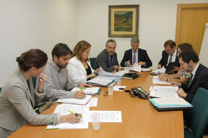 Reunion de seguimiento del Plan Avanza