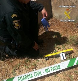 El artefacto explosivo hallado en Tábara (Zamora)