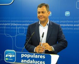 José Luis Sanz, hoy en rueda de prensa