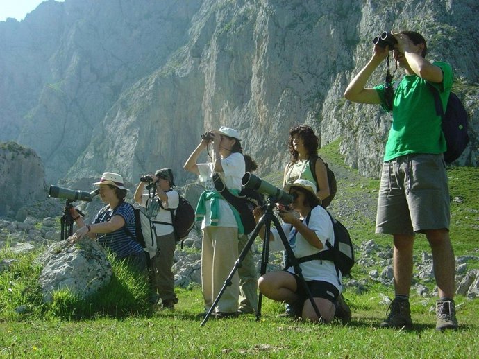 Avistamiento de aves en Picos de Europa