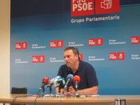 El PSdeG cree que el incendio de Quiroga y Larouco "puso de manifiesto que el dispositivo no funciona"
