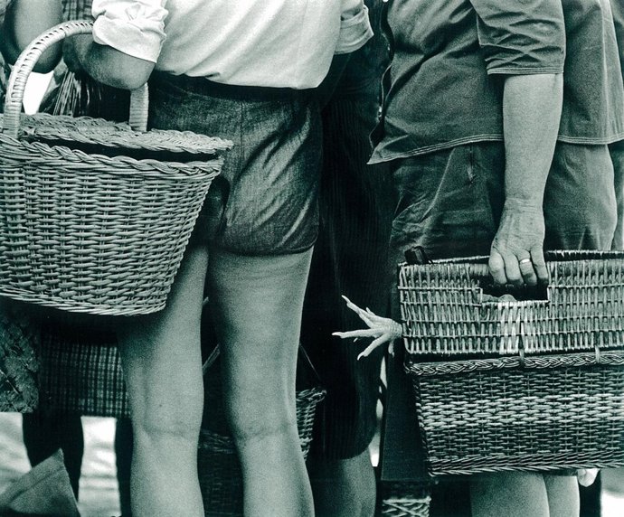 Una de las fotos de 'La vida atrapada al vuelo"