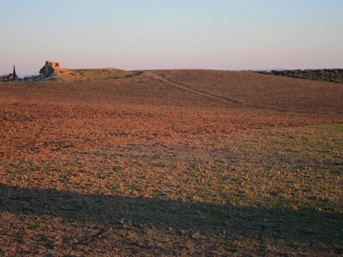 Finca del dolmen de La Pastora.