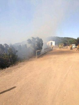 Conato de incendio en Vallehermoso (La Gomera)
