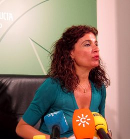 Consejera de Salud y Bienestar Social, María Jesús Montero, en rueda de prensa.