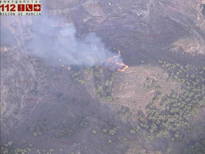 Incendio forestal 