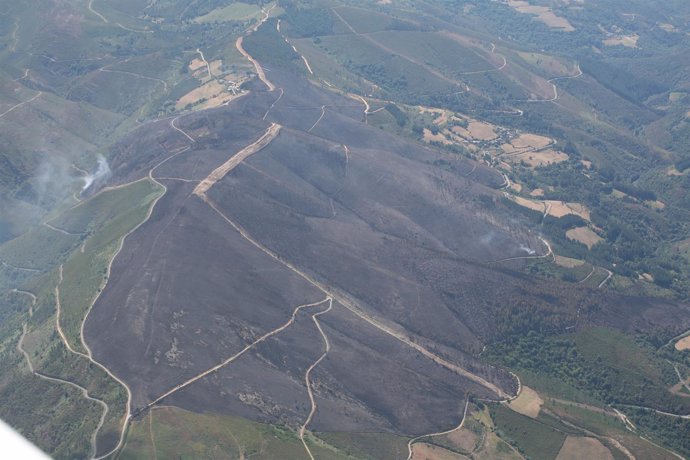 Incendio Forestal En Asturias