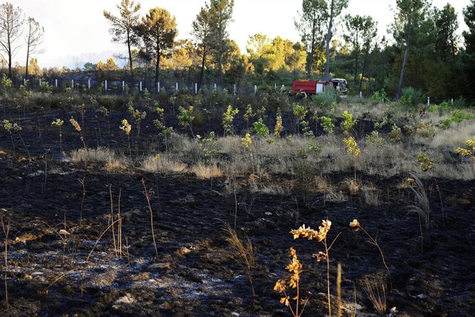 Terreno quemado en incendio en Vilamarín (Ourense).