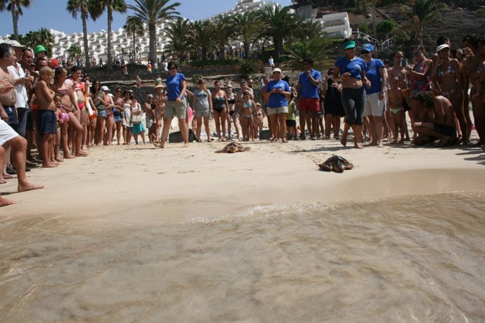 Suelta de tortugas