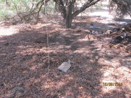 Artilugio incendiario en un paraje de Mazagón. 