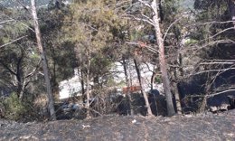 Zona afectada por el incendio de Vallirana