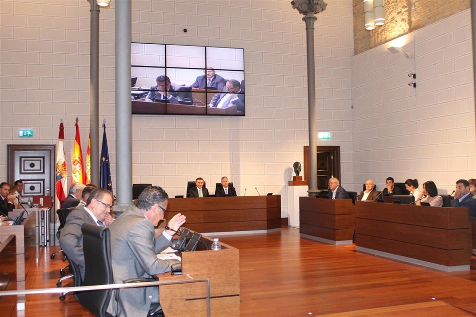 Pleno de la DPZ