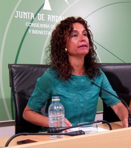 Consejera de Salud y Bienestar Social, María Jesús Montero, en rueda de prensa.