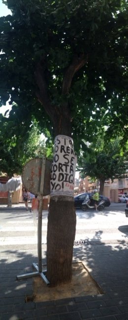 Imagen de uno de los árboles afectados