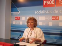El PSOE "se felicita" de que Diego guarde silencio sobre Sniace y no genere "más confusión" con sus declaraciones