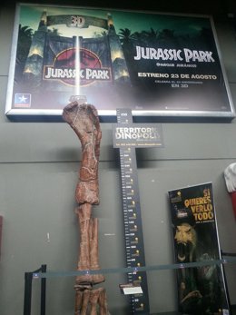 Replica de la pata de un dinosaurio