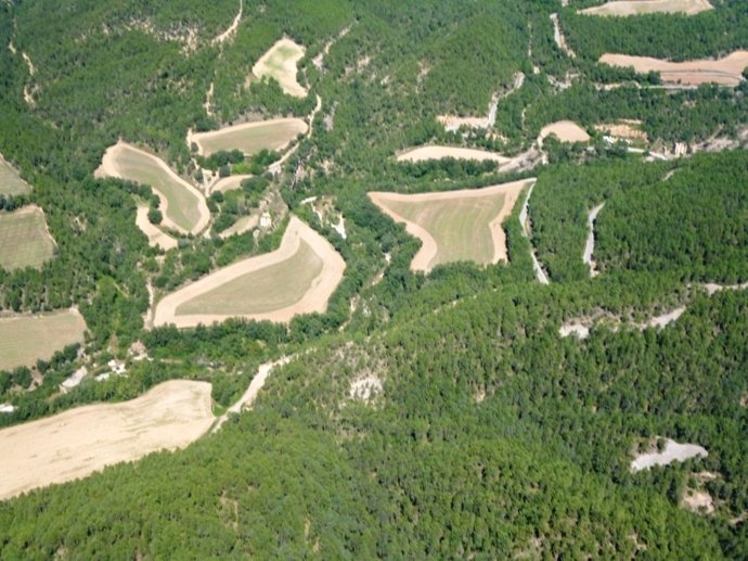 Campos con franjas de seguridad realizadas tras la siega para prevenir incendios