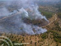 La superficie quemada en el incendio de Montoro son unas diez hectáreas de matorral y pinar