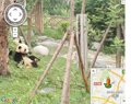 Los pandas gigantes en la Base de Investigación Ch