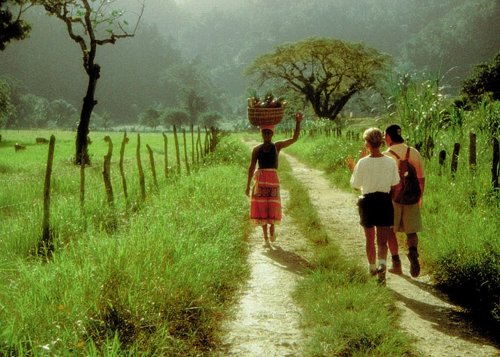 Agricultura en Jamaica