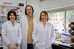 Encarnación Mellado, David Cánovas y Almudena Escobar, investigadores de la US
