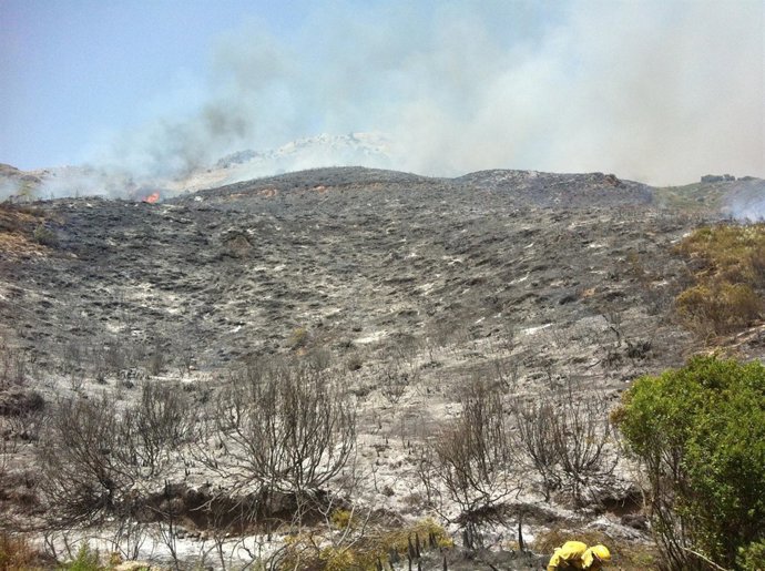 Incendio en Cortes de la Frontera