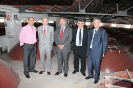 Labrador cooperativa