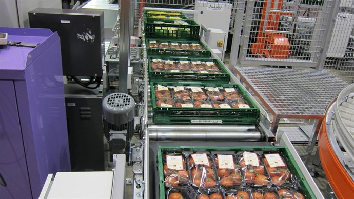 Pales de fruta y verdura