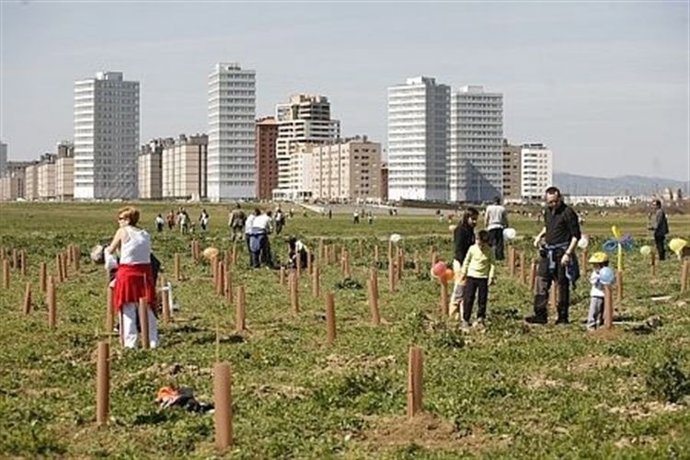 Imagen de una refrorestación anterior en el parque de Salburua