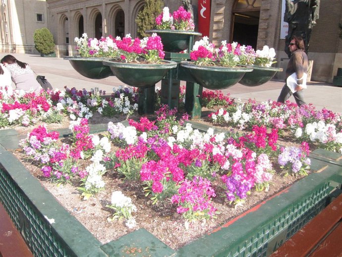 Jardinera De La Plaza Del Pilar De Zaragoza. Flores