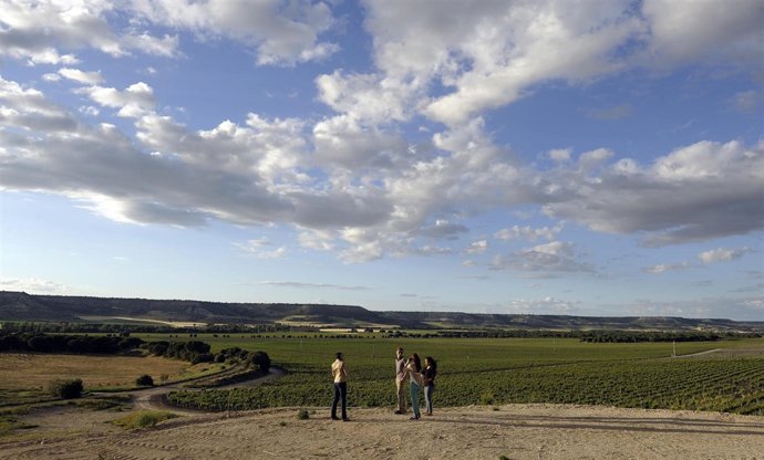 VISITA ABADÍA RETUERTA