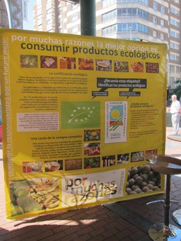 Mercado ecológico ubicado en la Plaza de España