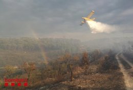 Medios aéreos trabajan en el incendio de Riba-roja d'Ebre