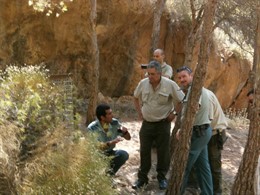 Los agentes preparan la jaula para capturar vivo al felino