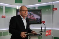 PSOE-A afirma que el PP-A no tiene "nada que aportar" porque está sumido en una "pelea interna para que Zoido se vaya"