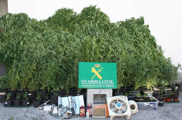 Marihuana y efectos intervenidos en Carballo (A Coruña).