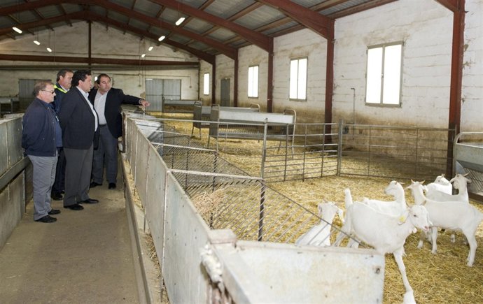 Moliner durante una visita a la granja provincial de Ares.