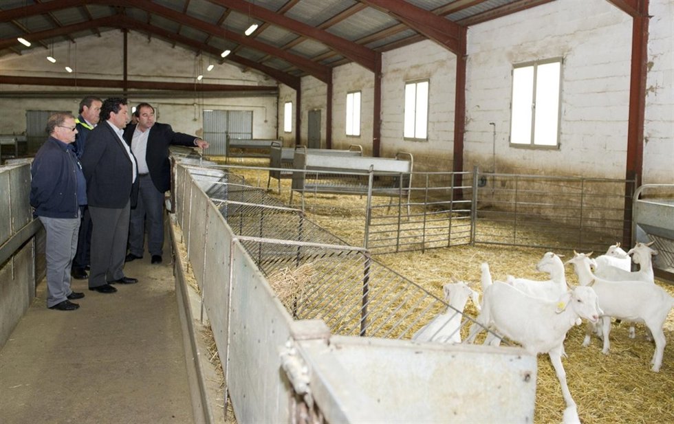 Moliner durante una visita a la granja provincial de Ares.