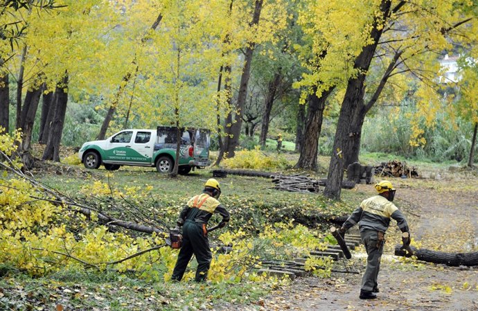 Brigadas forestales de la Diputación trabajan en Sot de Chera.         