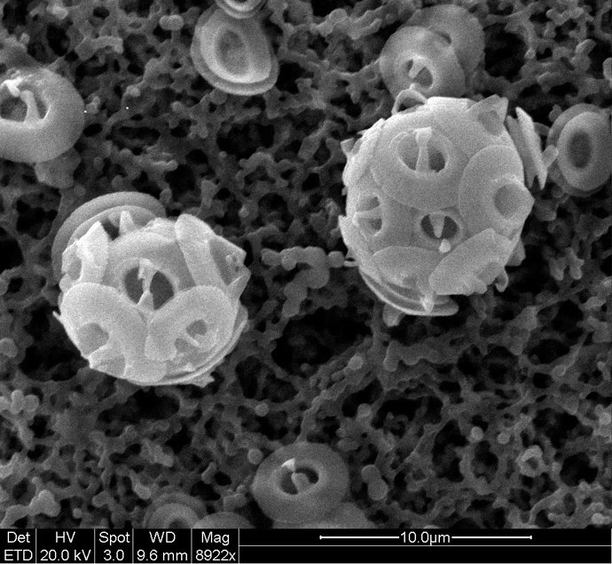 Estudio sobre efecto invernadero