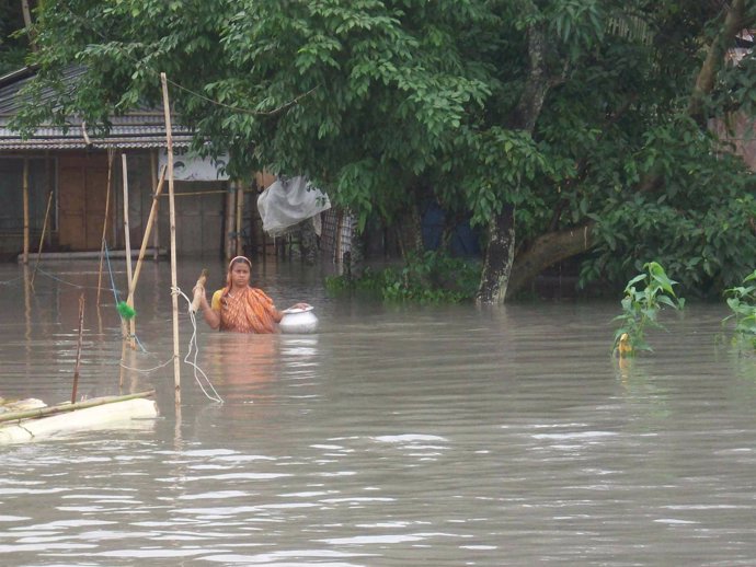 Las inundaciones al norte de India han provocado daños en ganado y estructuras