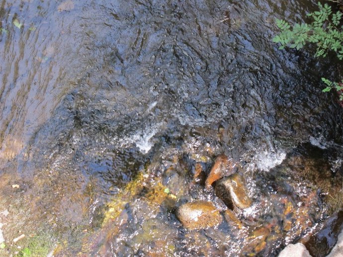 Agua, Río, Inundación, Sequía