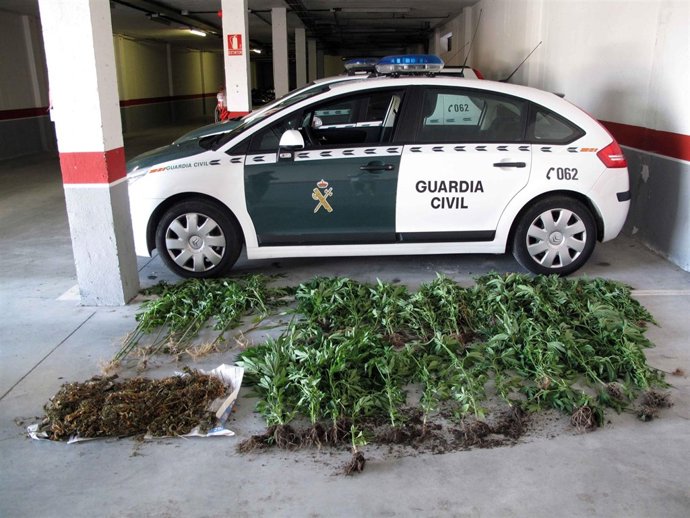Marihuana incautada por la Guardia Civil