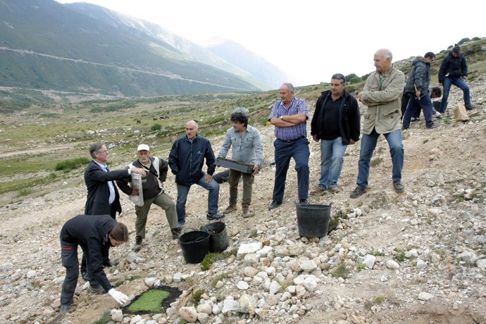 Consejero Medio Ambiente