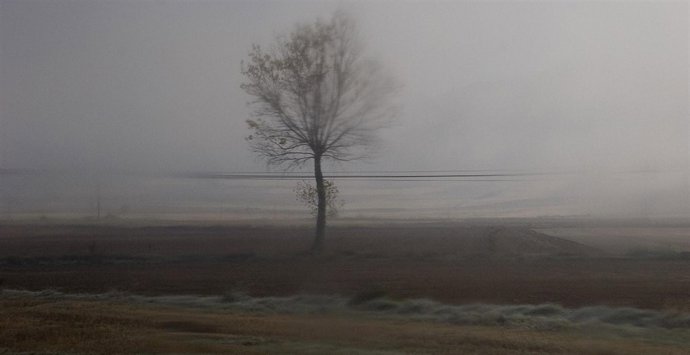 Muestra de una obra de Antonio Aiz