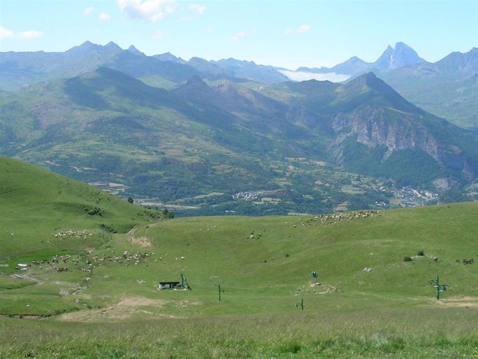 El CITA realiza acciones para favorecer el desarrollo rural de Aragón