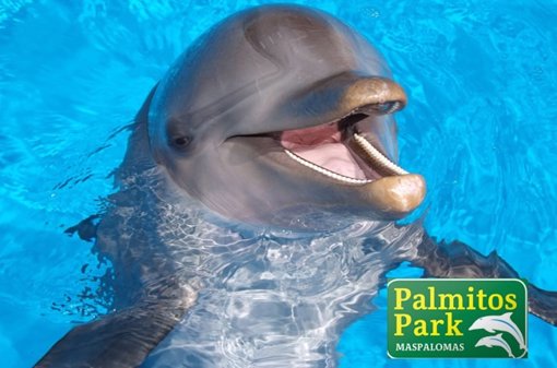 Palmitos Park y su cuidado de animales