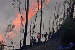 Incendio en Ecuador