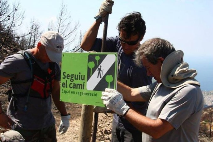 Tareas de recuperación de la Trapa
