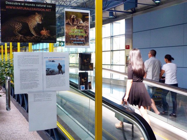 Exposición fotográfica en el aeropuerto de Madrid-Barajas